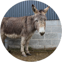 Richard Bowness profile picture